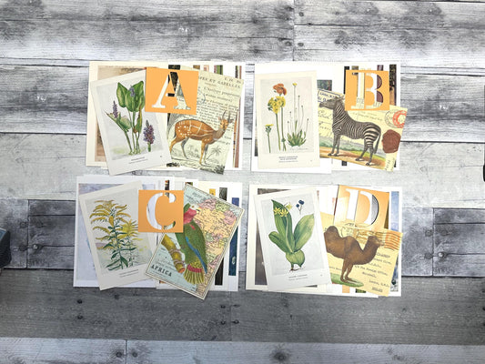 This image show set A, B, C and D of the vintage postcards (etsy image id: 6566179608)