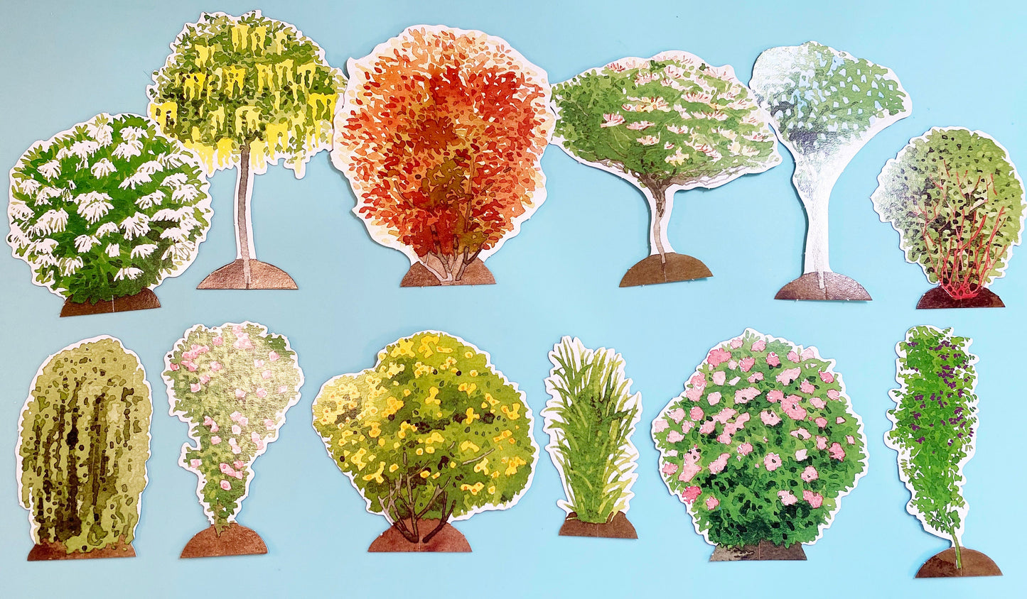 Botanical Die Cuts: Watercolor Garden Ephemera, Scrapbooking (40 Pieces) (etsy image id: 4123861329)