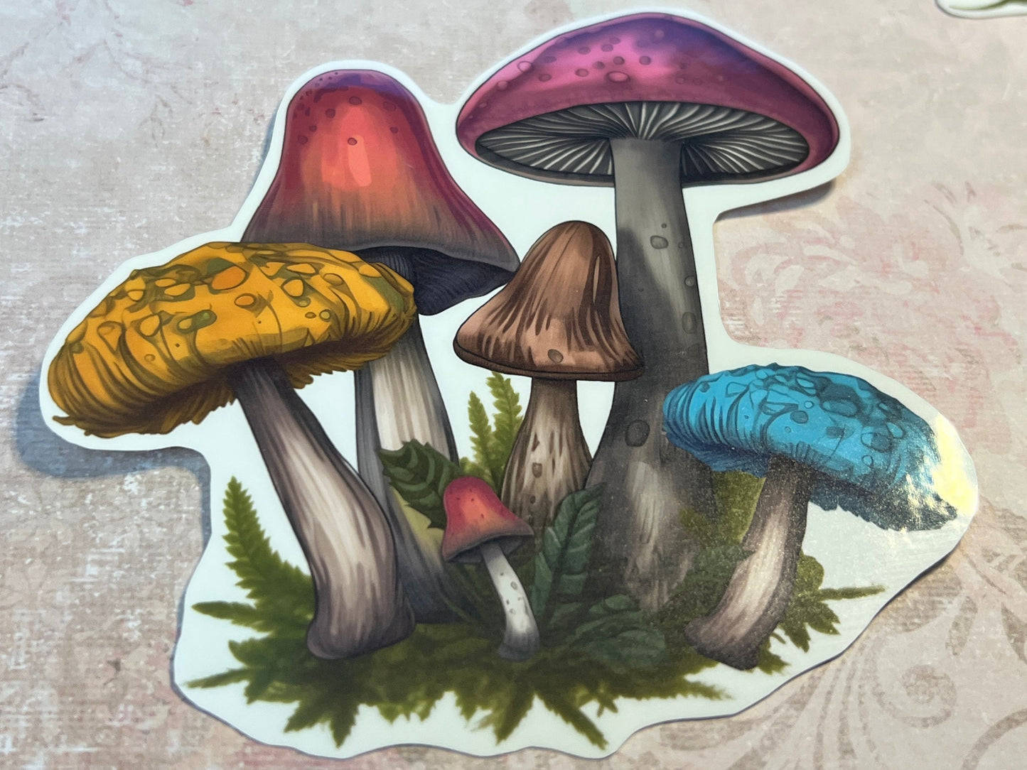 multi color variety of mushrooms vinyl sticker (etsy image id: 5603275468)
