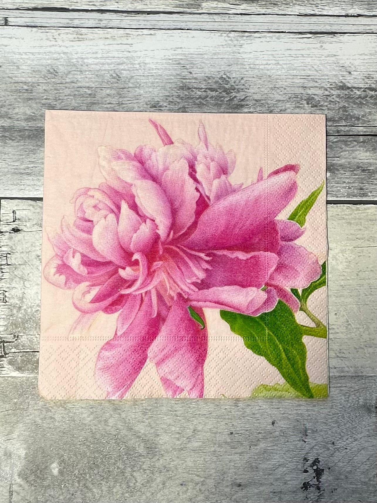 Collage Napkins set of 10 (etsy image id: 7760674316)